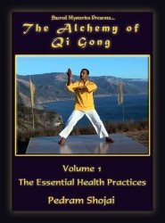 Qi Gong Yellow—watch with a membership at: gaia.com/sacredmysteries